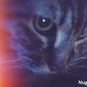 Meet your Posher, Jon